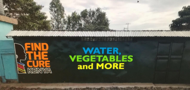 2018: Find The Cure – Orto per il mantenimento dell’ostello SHERP per giovani disabili, Kenya