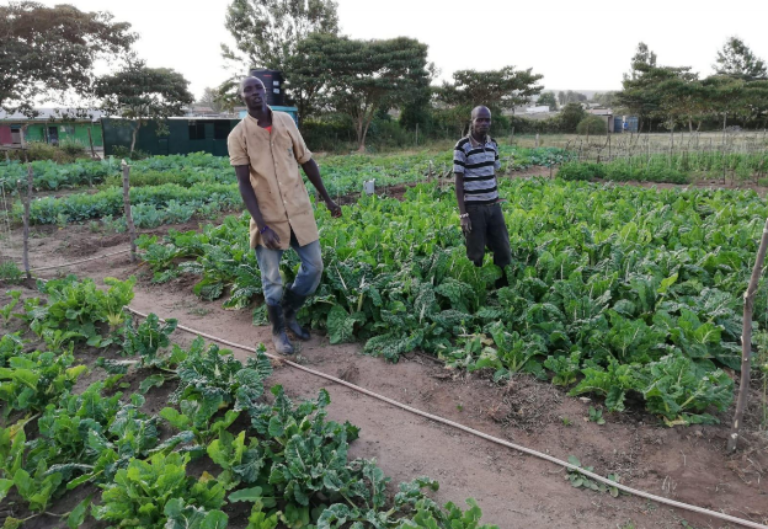 2019: Find The Cure – Sostegno al progetto a “farmer for disability”, Kenya