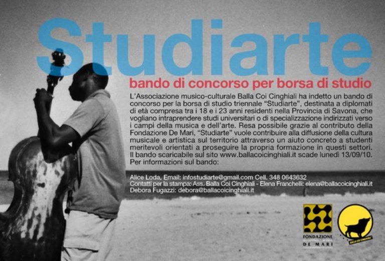2010-2013: Borsa di Studio Studiarte nei campi della musica e dell’arte col contributo della Fondazione A. De Mari